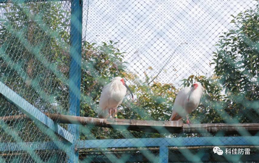 探秘红色足迹:2017年浙江德清红色之旅回顾(图8)