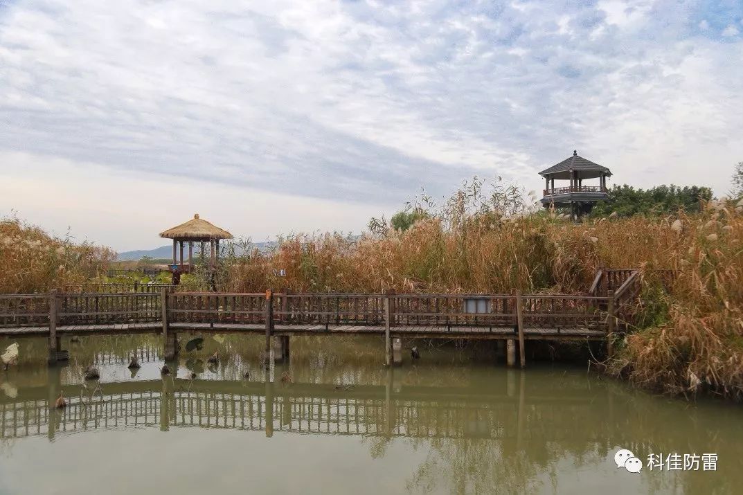 探秘红色足迹:2017年浙江德清红色之旅回顾(图9)