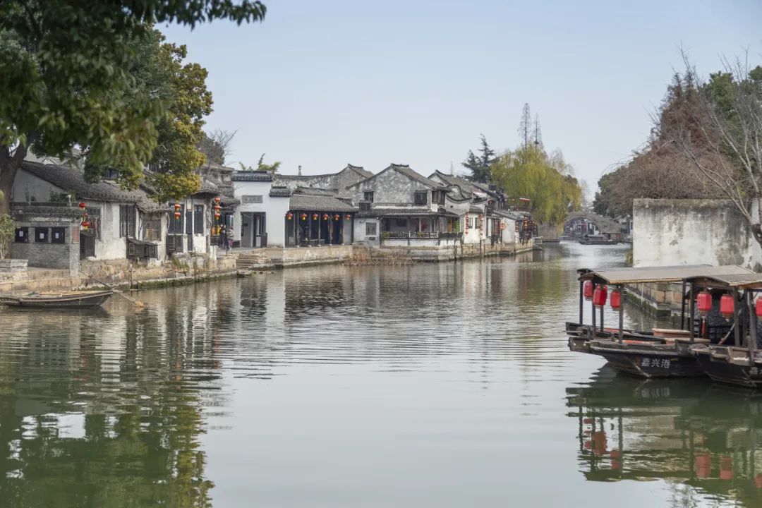 科佳年度旅行丨邂逅暖冬，解锁欢乐密码(图57)