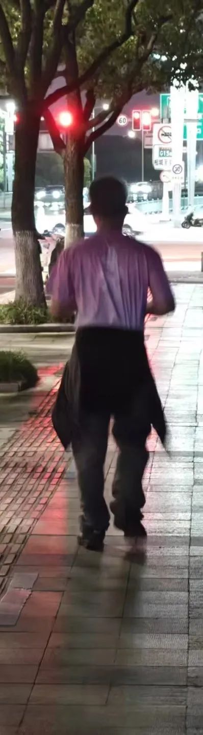 踏风而行，步履生花 丨科佳电气 2025年徒步之旅(图17)