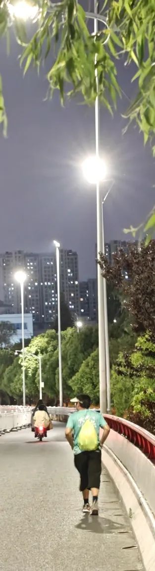 踏风而行，步履生花 丨科佳电气 2025年徒步之旅(图18)
